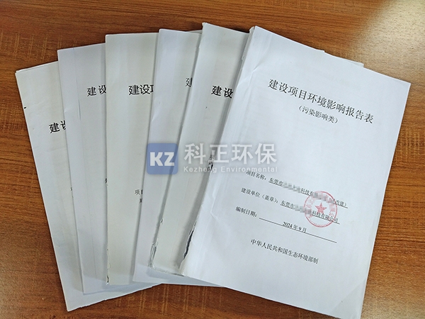环评报告
